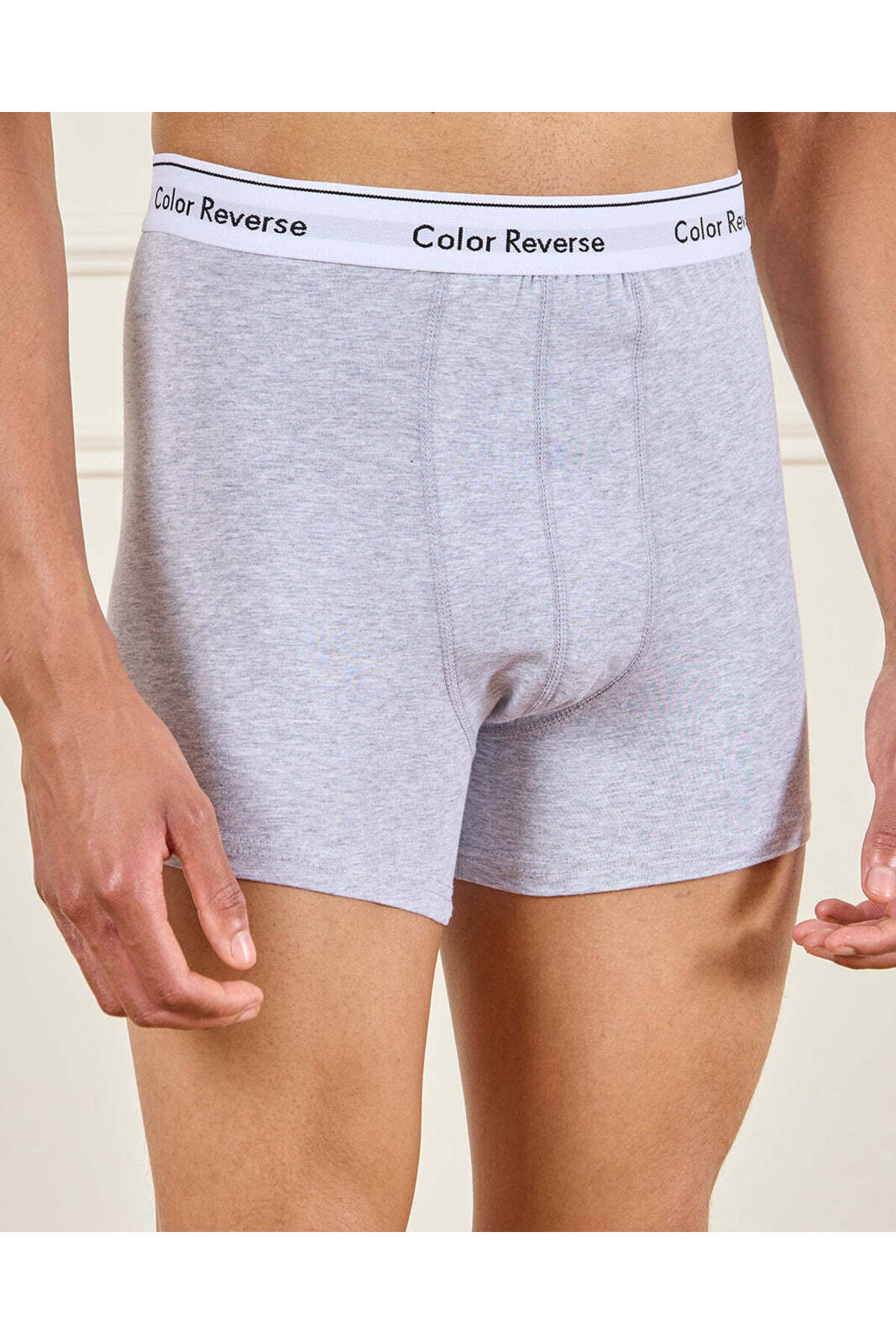 REDTAG Men Grey Hipester Brief Set (Pack of 2)