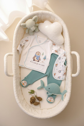 BABYLİM Mutlu Penguen Erkek Bebek Hastane Çıkışı %100 Pamuk Yeni Doğan Seti 0...