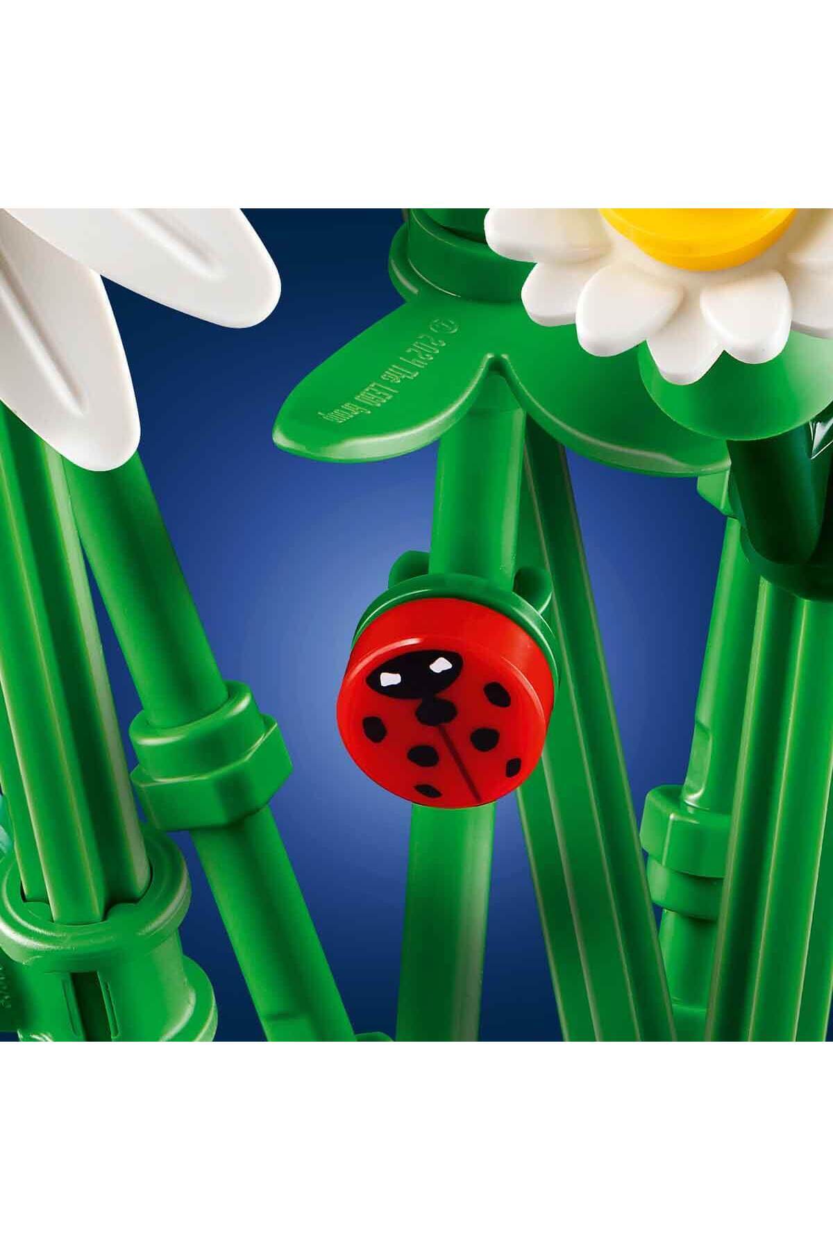 گیاه‌شناسی دِیزِی‌ها ۱۱۵۰۸