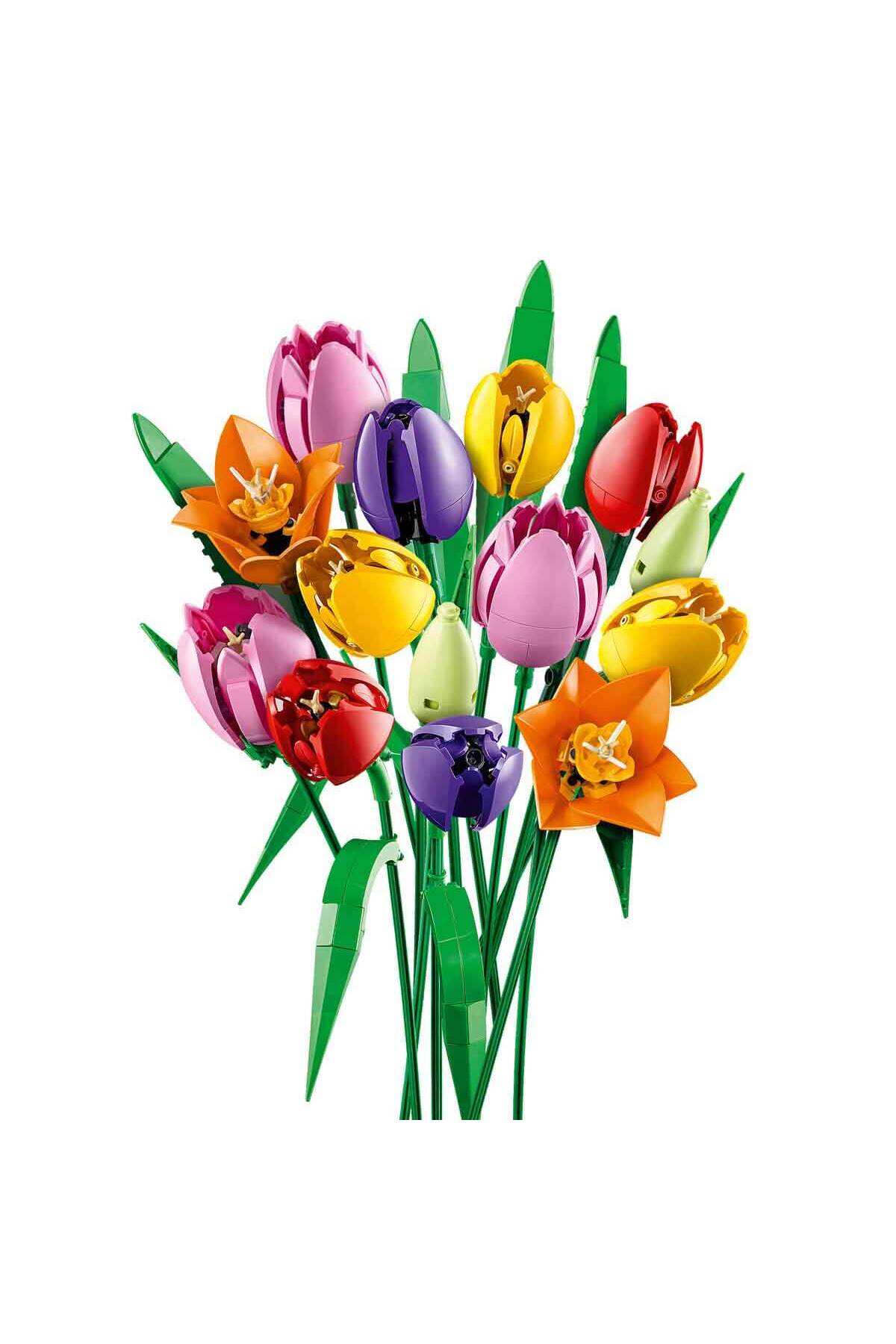 بوتانیکالز بوکه‌ی لاله ۱۱۵۰۱