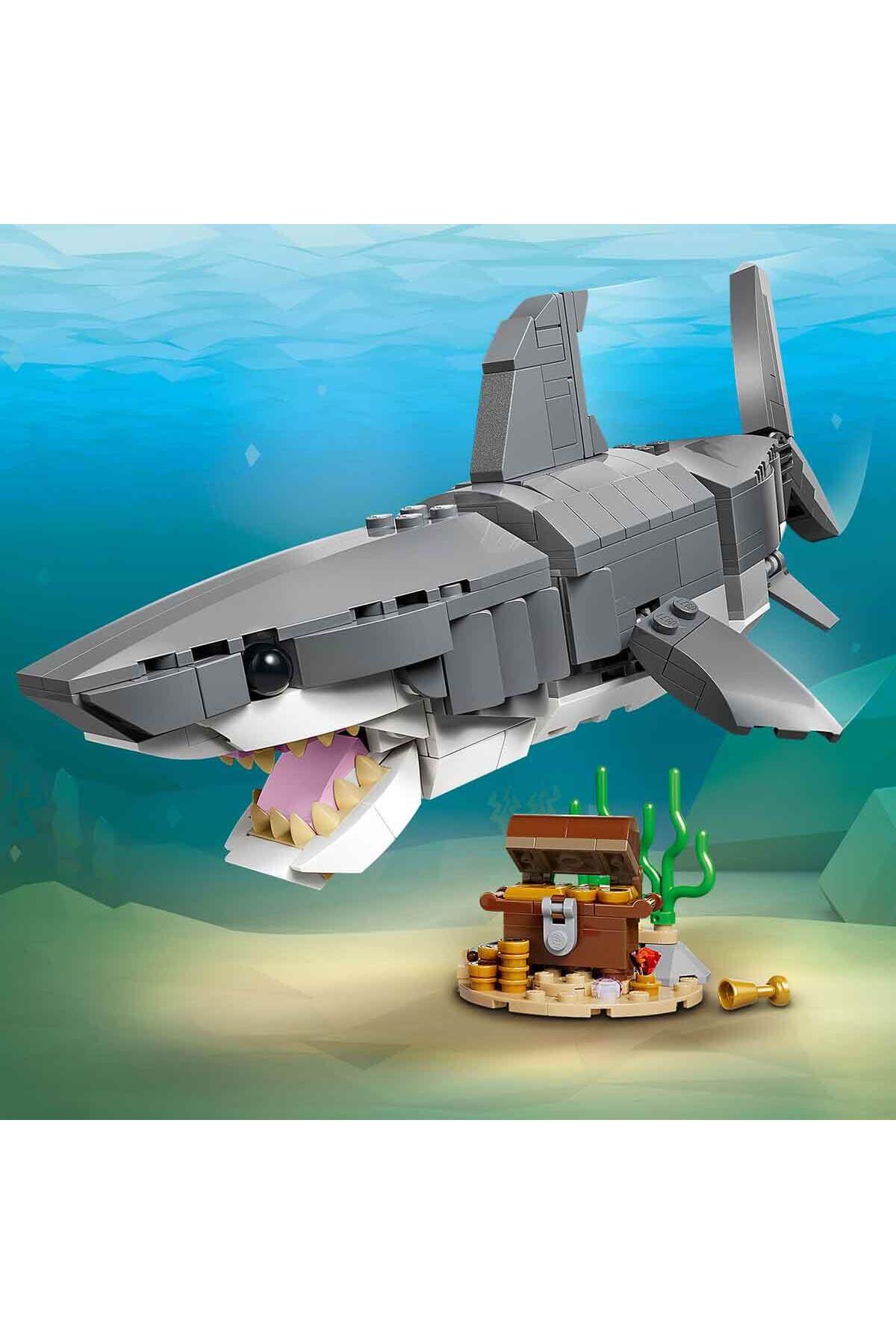 کوسه بیرحم سازنده با صندوق گنج ۳۱۳۸۱