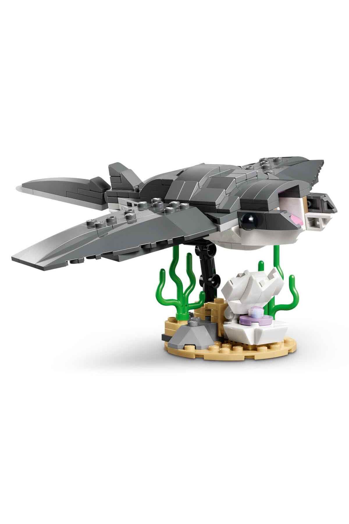 کوسه بیرحم سازنده با صندوق گنج ۳۱۳۸۱