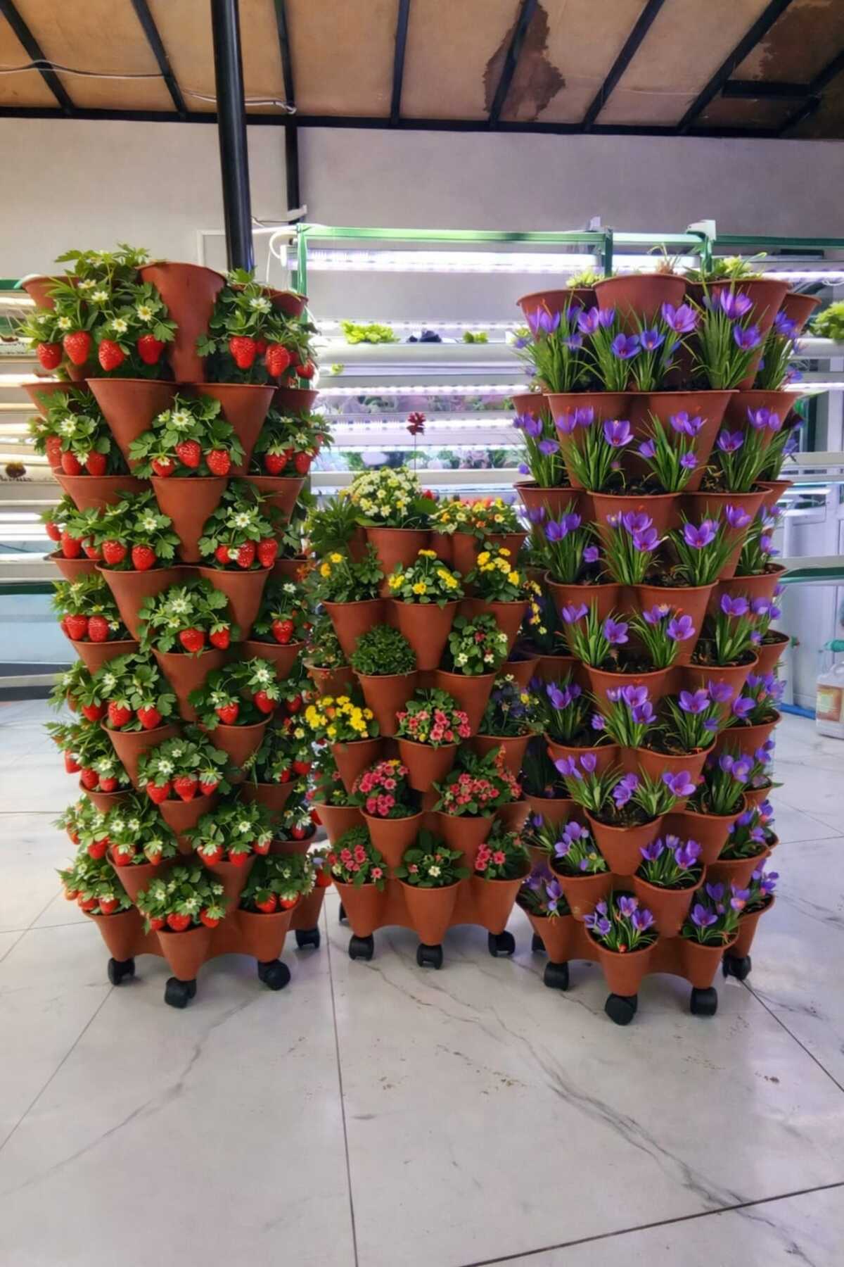 Güneydoğutopraksıztarım DİKEY ÇİLEK KULESİ TOPRAKLI/TOPRAKSIZ