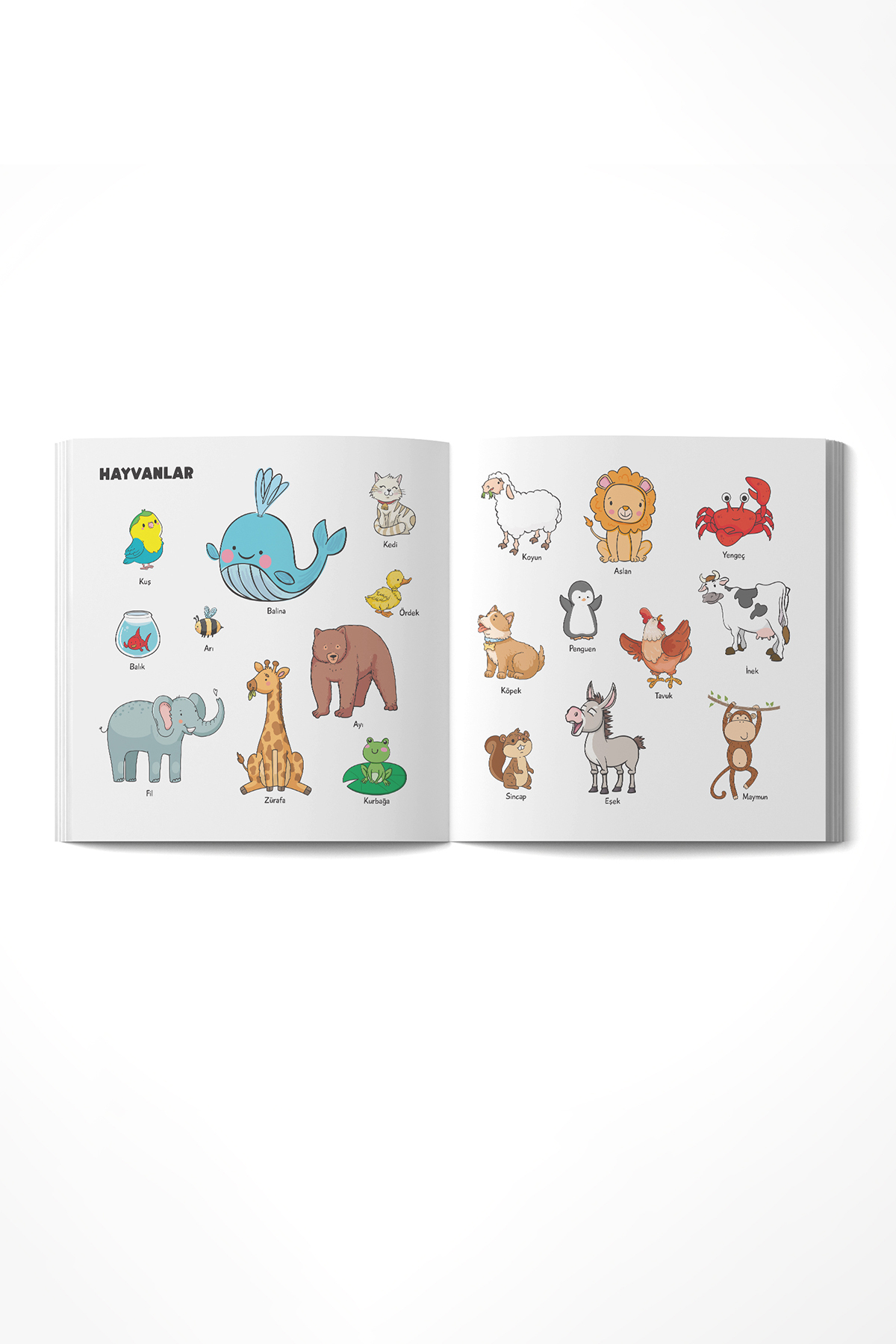 Çocuk Akademi Bebeğimin İlk 100 Kelimesi fotoğrafı 3 (önizleme)