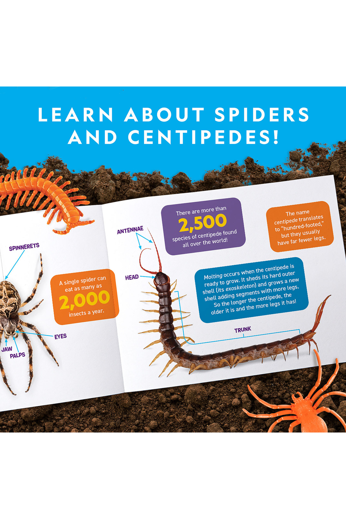 آزمایشگاه قالب‌سازی کریتر