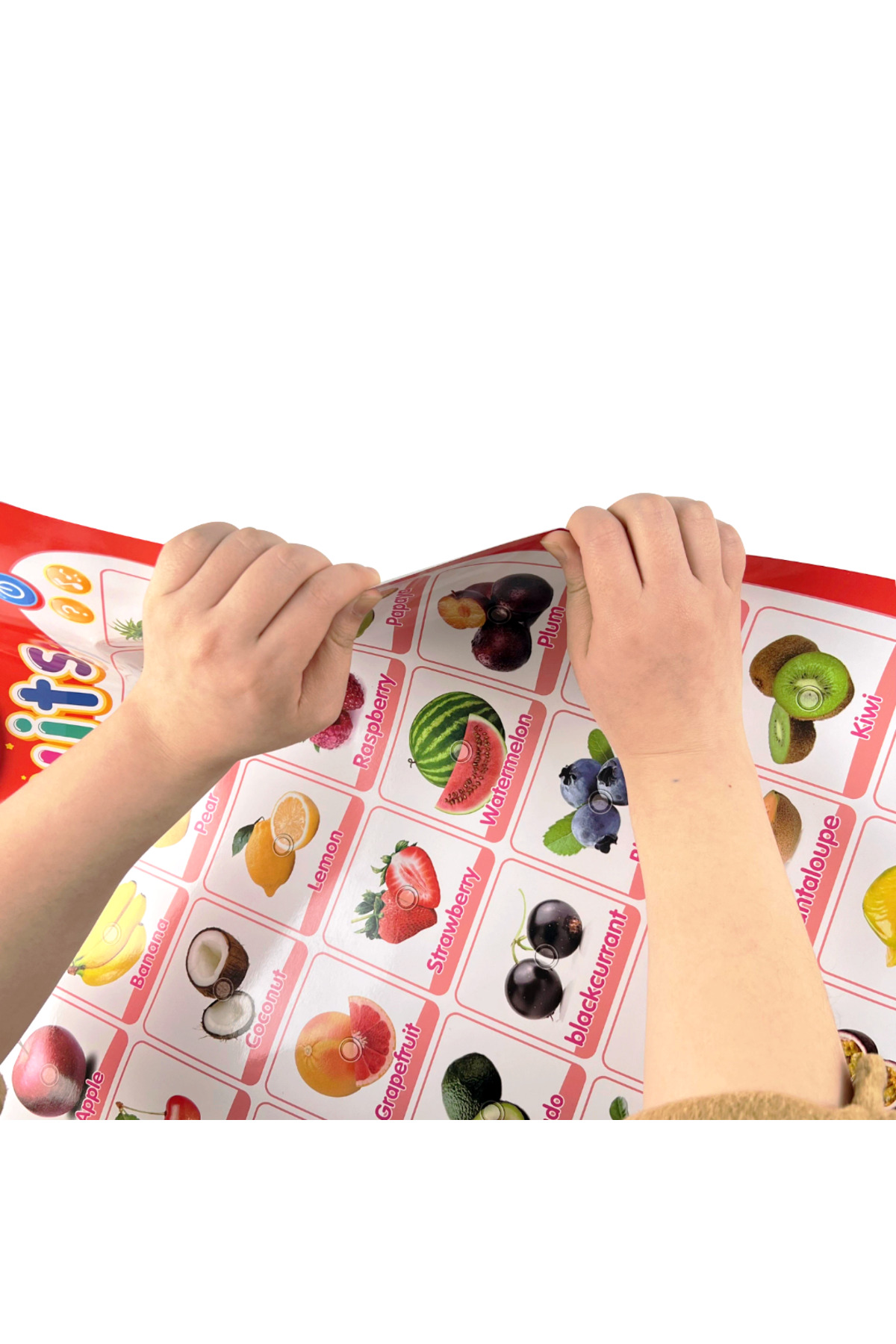TALOO sesli kitaplar Fruits İngilizce Konuşan Sesli Poster fotoğrafı 3 (önizleme)