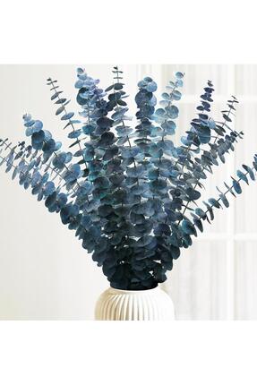 ART PINE DOĞAL ŞOKLANMIŞ OKALİPTUS 50 CM - 5 DAL EV OFİS MASA BANYO MUTFAK FE...