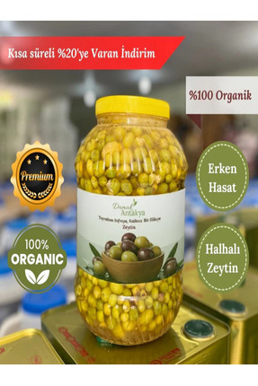 Damak Antakya Halhalı Kırma Yeşil Zeytin (5 Lt Bidon)
