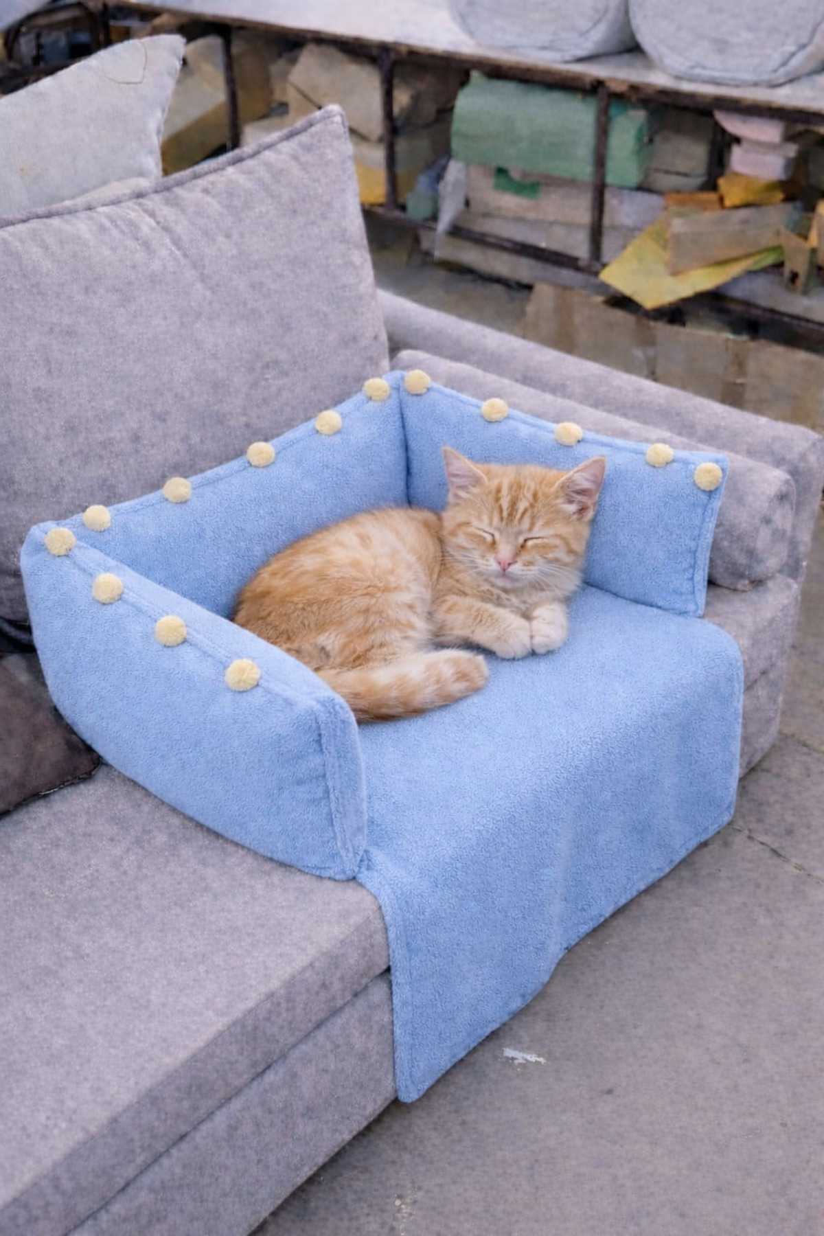 Beta kedi ve köpek minderi yatağı evi kulübesi