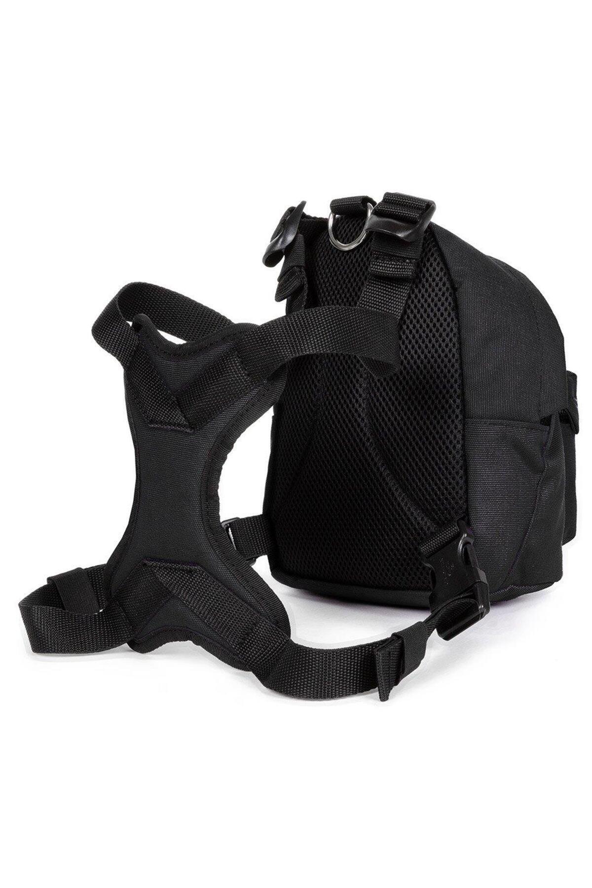 Eastpak Dog Pak'r Köpek Sırt Çantası Siyah fotoğrafı 3 (önizleme)