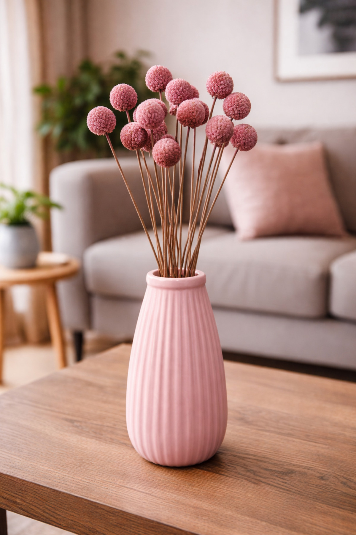 Light Pink Craspedia (Billy Button) Natural Dry Flower Bundle Long Lasting, Decorative Home & Table Ornament