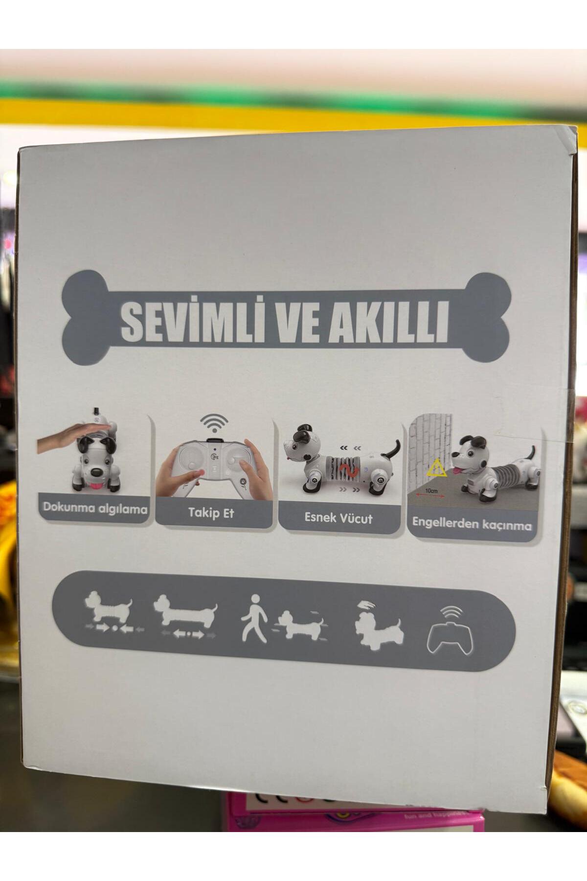 【今だけ】emDASHxSNKRDUNK Soft VinylToy Vardem Pelüş smart dachshund uzaktan kumandalı köpek full