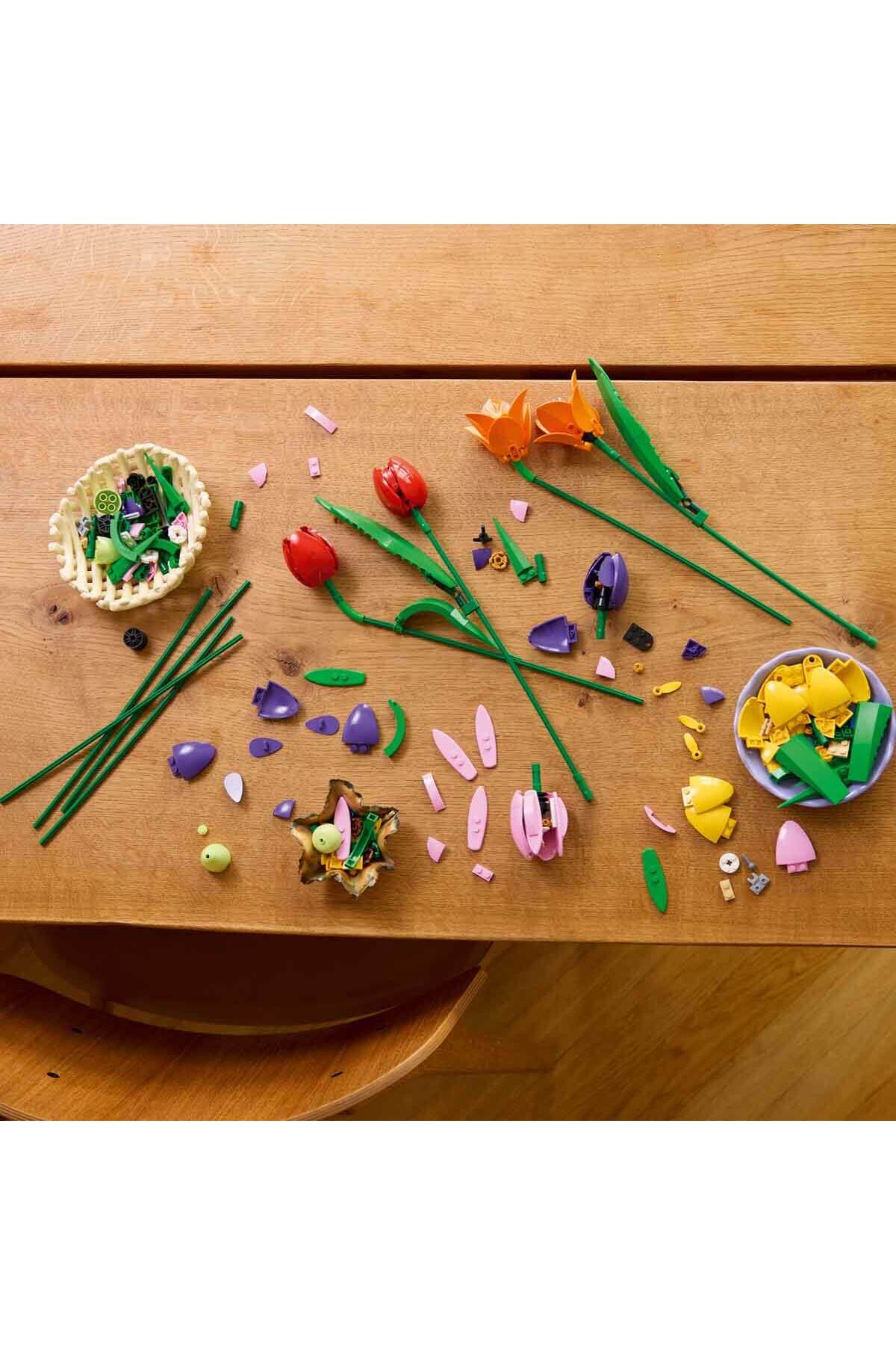 بوتانیکالز بوکه‌ی لاله ۱۱۵۰۱