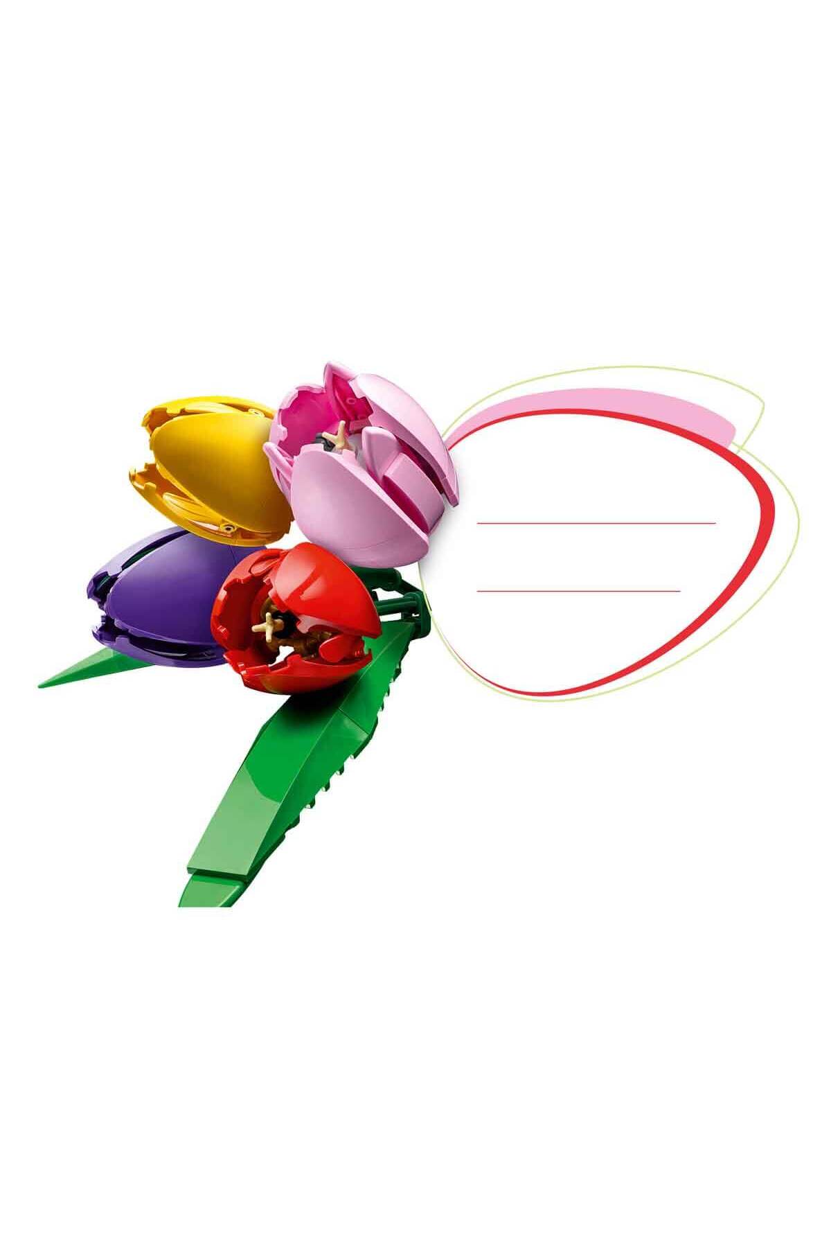 بوتانیکالز بوکه‌ی لاله ۱۱۵۰۱