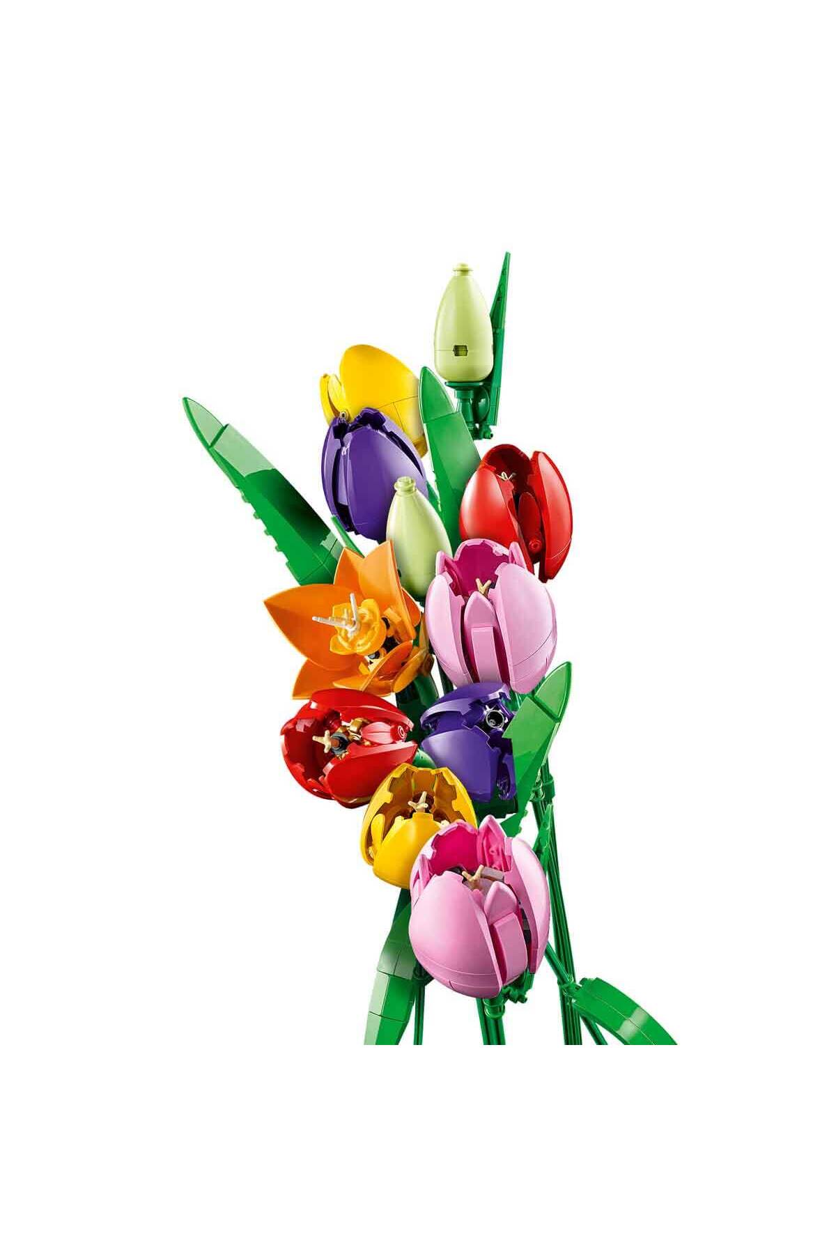 بوتانیکالز بوکه‌ی لاله ۱۱۵۰۱