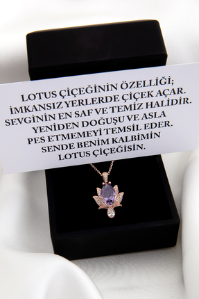 SARIASLAN Işıklı Kutuda Yeni Lotus Çiçeği Gümüş Kolye Ametist Taşlı Kırmızı A...