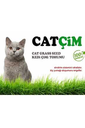 GoldMind KEDİ ÇİMİ KİTİ Arpa Buğday Yulaf. (3lü Karışım) 500g