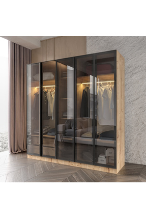 Afilli Yıldız Füme Camlı Alimünyum Kapaklı 2 Çekmeceli Giyinme Dolabı Led Ask...