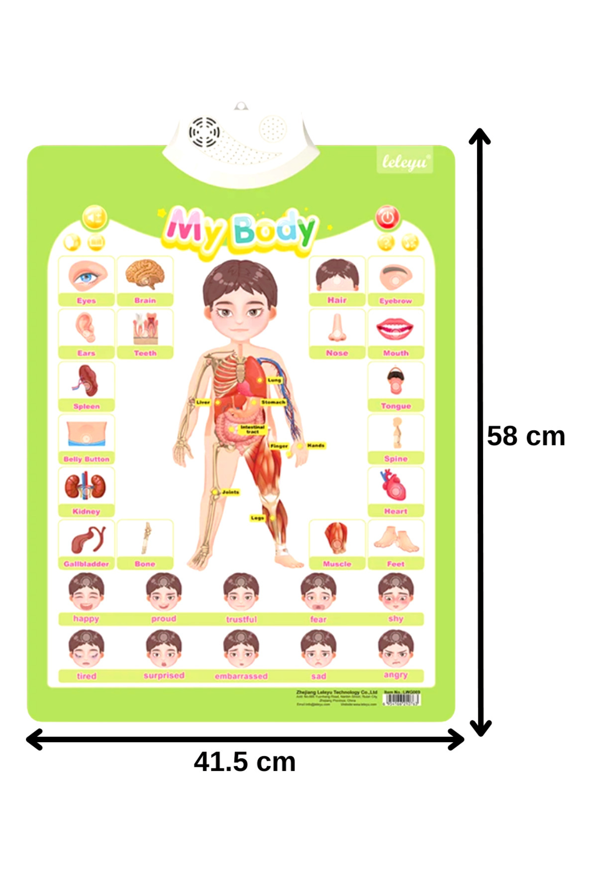 TALOO sesli kitaplar My Body & Expressions İngilizce Konuşan Sesli Poster fotoğrafı 4 (önizleme)