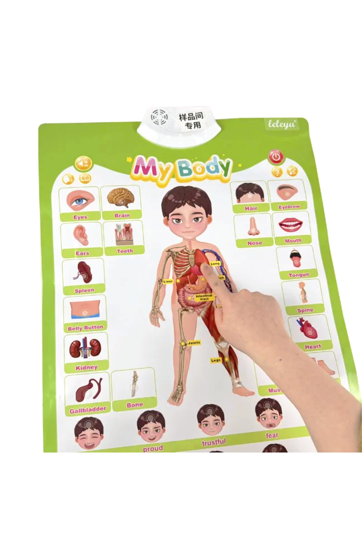 TALOO sesli kitaplar My Body & Expressions İngilizce Konuşan Sesli Poster fotoğrafı 3 (önizleme)