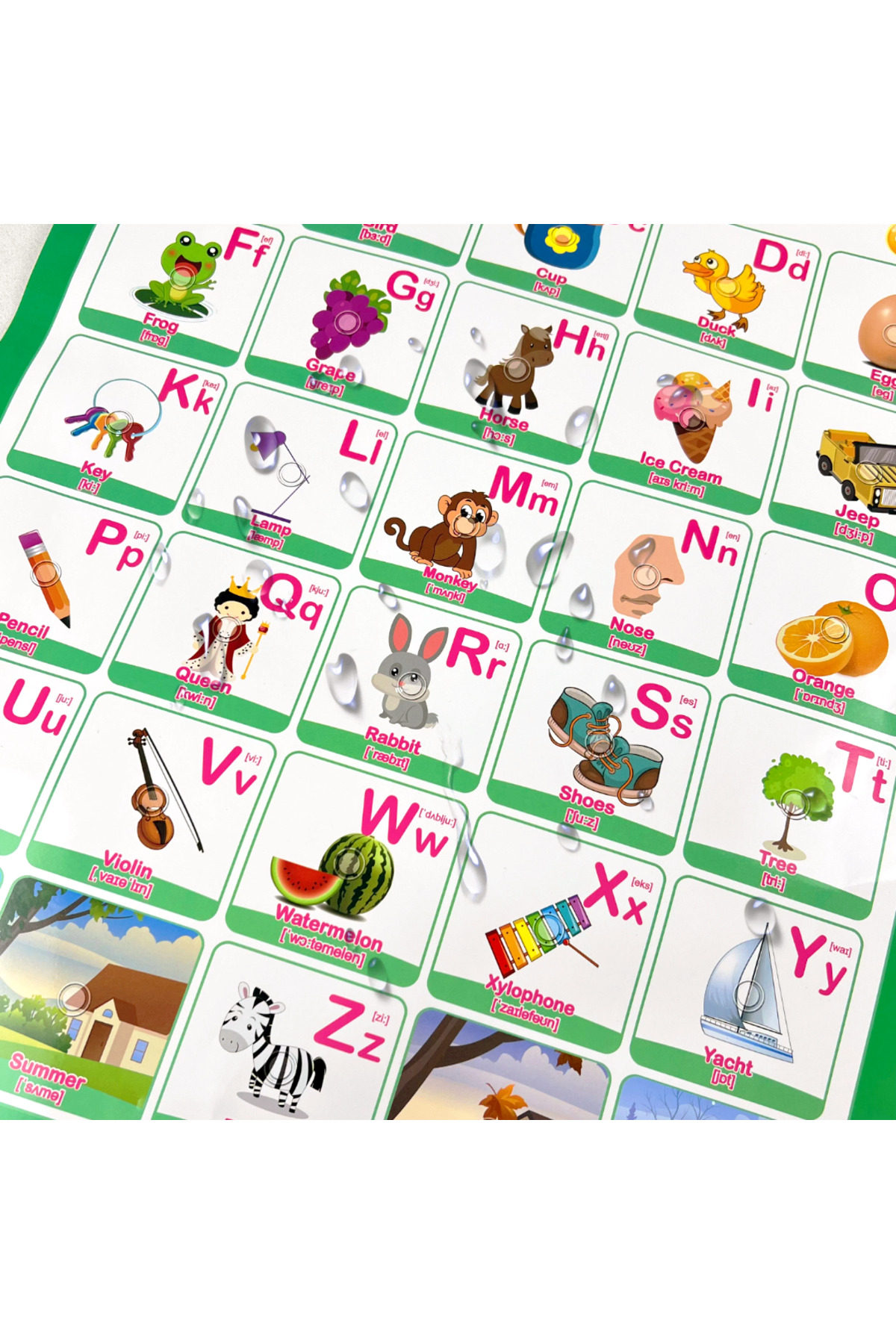 TALOO sesli kitaplar Alphapet İngilizce Konuşan Sesli Poster fotoğrafı 2 (önizleme)