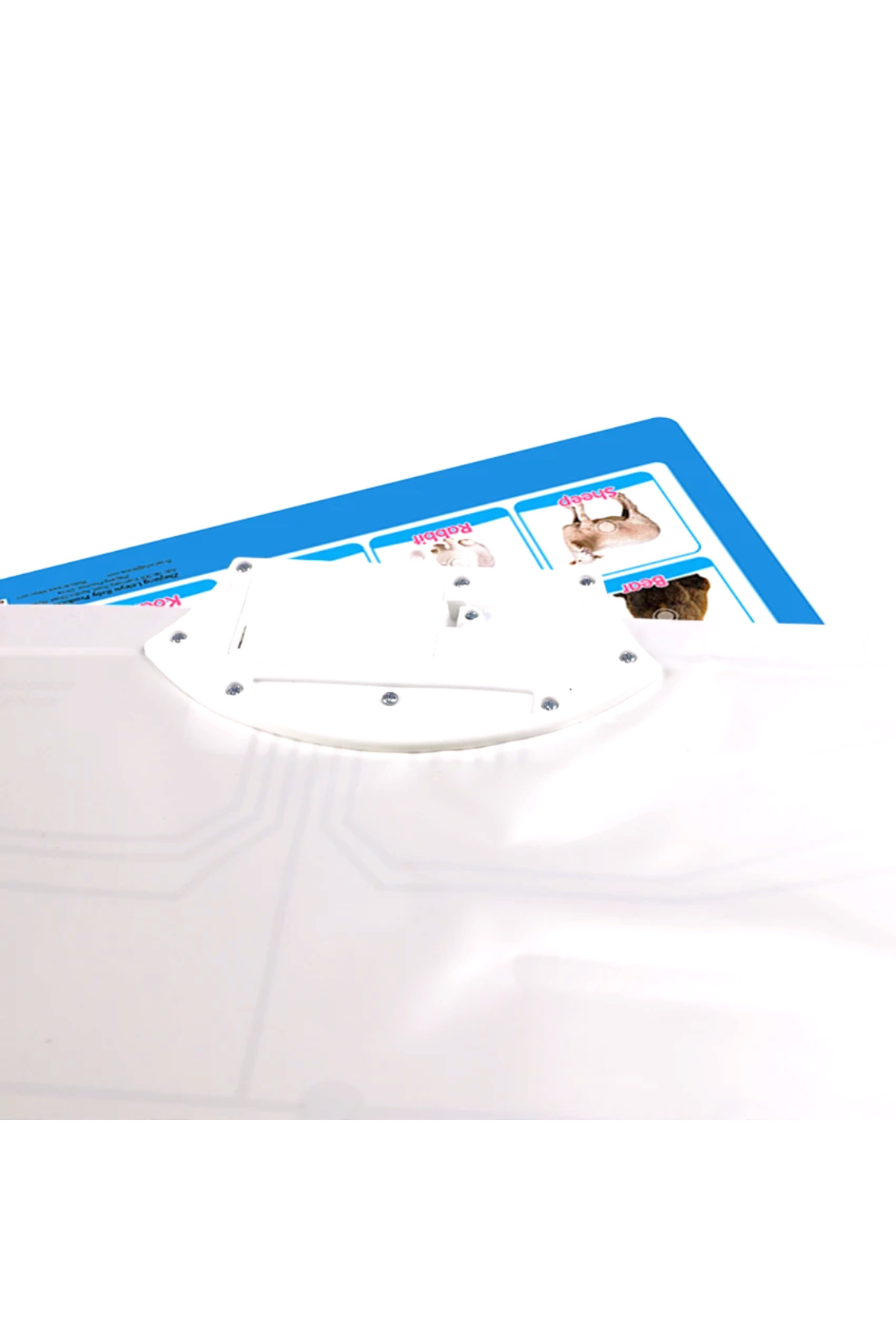 TALOO sesli kitaplar Animals İngilizce Konuşan Sesli Poster fotoğrafı 3 (önizleme)