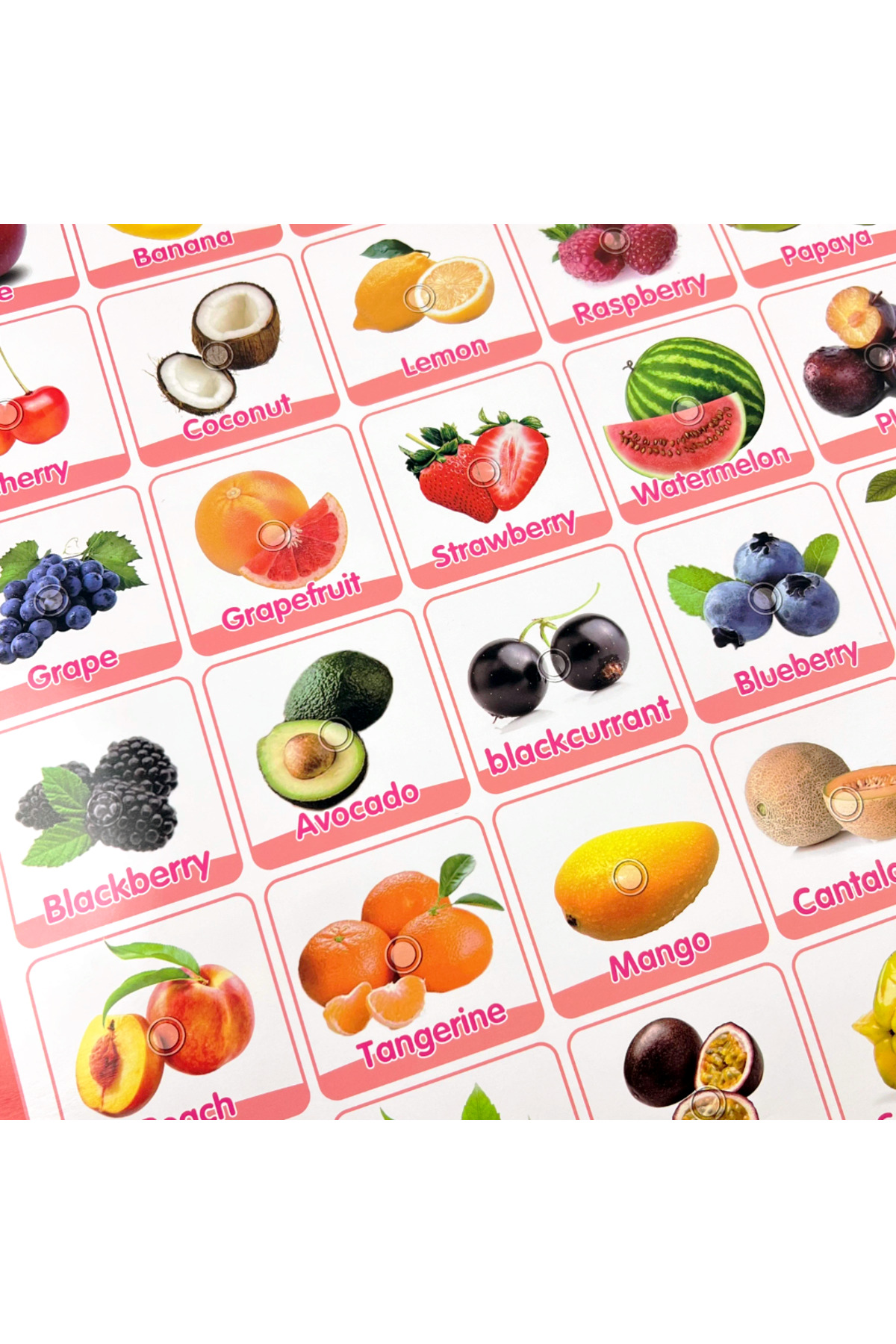 TALOO sesli kitaplar Fruits İngilizce Konuşan Sesli Poster fotoğrafı 2 (önizleme)