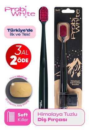 Probident Probiwhite Himalaya Tuzlu Doğal Vegan Diş Fırçası El Yapımı Stant H...