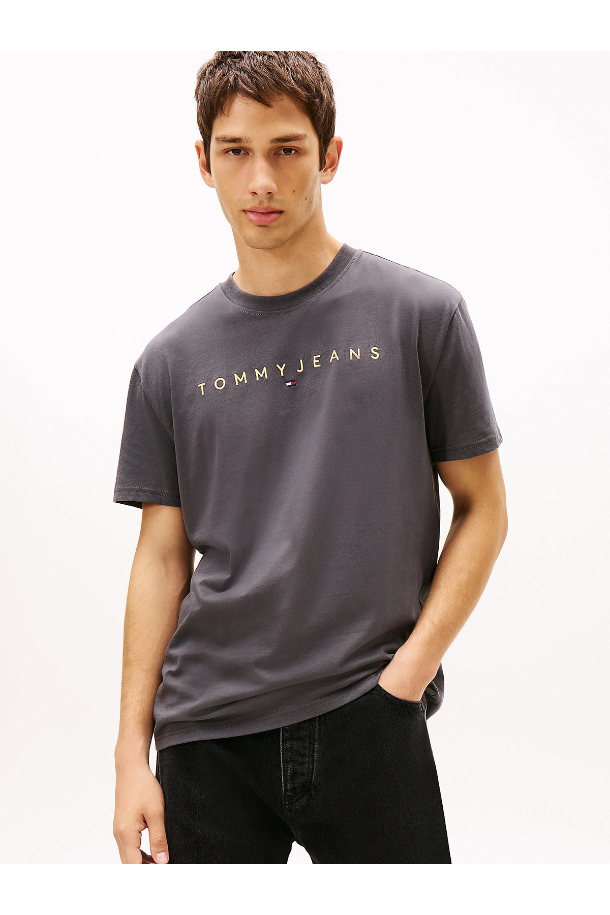 Tommy Hilfiger  Erkek Gri Regular Fit T-Shirt