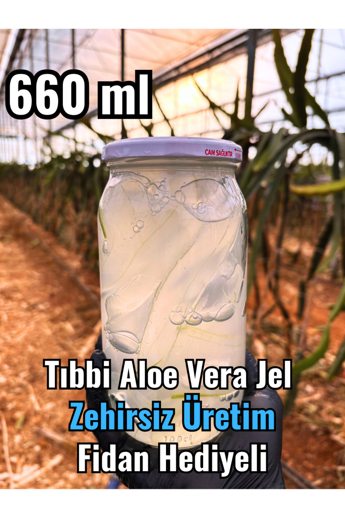 FidanBudur Alovera Jel, Aleovera Jel, 660 Ml, Doğal — aloejel450mlvucut