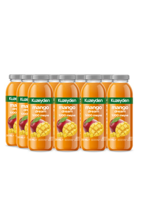 KUZEYDEN %100 Meyve Mango Suyu | 12x250ml | İlave şeker, katkı ve koruyucu ma...