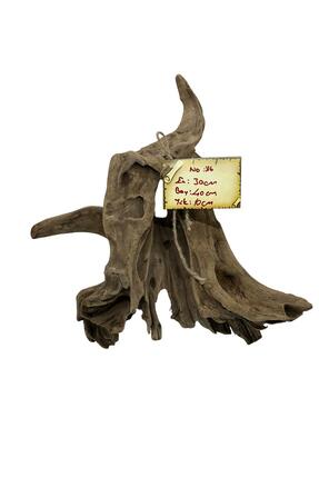 WODDY Mangrove Akvaryum Kökü