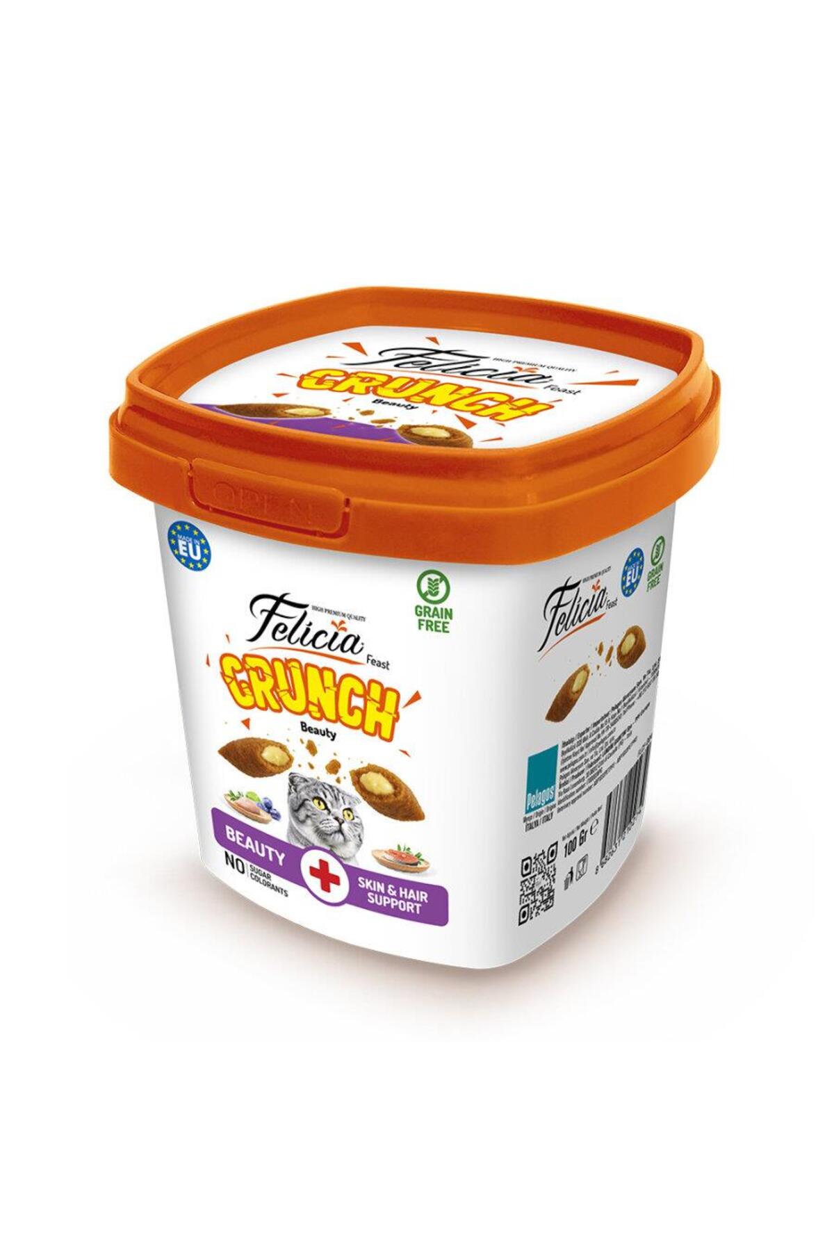 felicia  Crunch Tavuklu Somonlu Kedi Ödül Maması 100 gr
