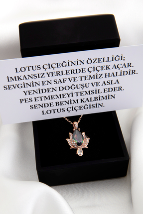 SARIASLAN Işıklı Kutuda Yeni Lotus Çiçeği Mistik Topaz Gümüş Kolye Kırmızı Al...