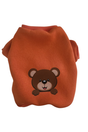 atelyu kedi köpek kıyafeti içi polarlı turuncu ayıcık sweatshirt