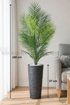 BİÇİÇEK 180 CM AREKA AĞACI 24 YAPRAKLI LİLYUM SAKSIDA
