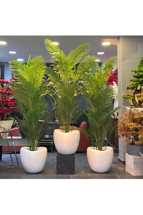 Adayapaycicek Yapay çiçek areka 200 cm 18 yaprak yapay ağaç