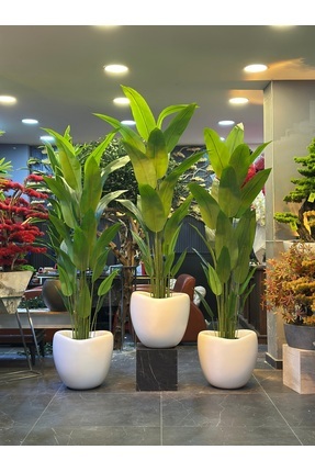 Adayapaycicek Yapay çiçek 200 cm starlice 24 yaprak