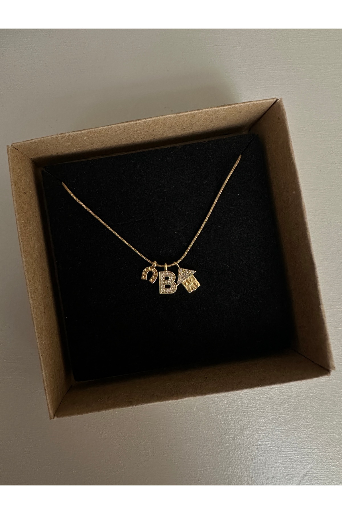 Ev Figürlü Harf ve Nal Charm Çelik Zincirli Gold Kadın Kolye (45 cm) – Sevgililer Günü Özel - Detay Görseli 2