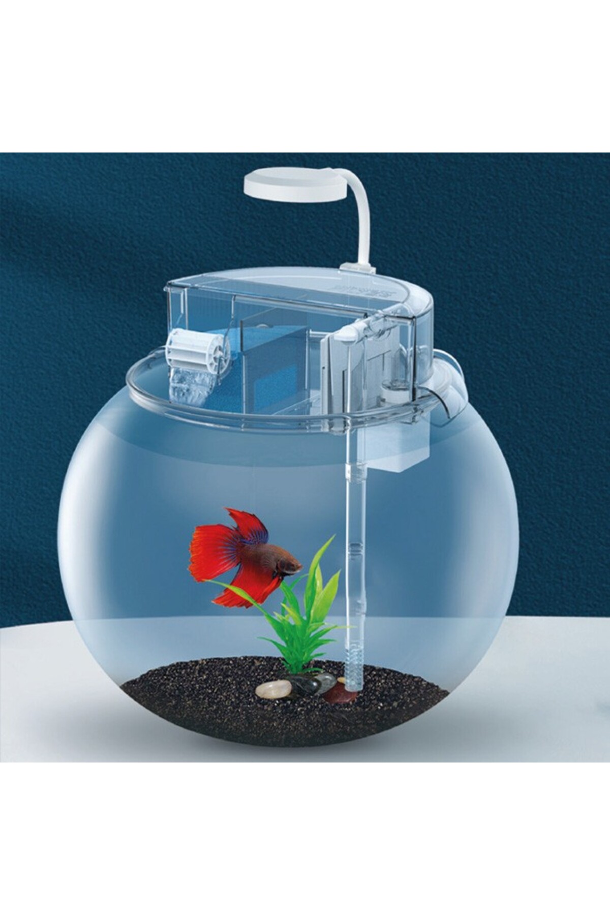Jeneca YG-29 Fanus Akvaryum Seti 29x29x27 Cm (10L) - Fiyatı, Yorumları