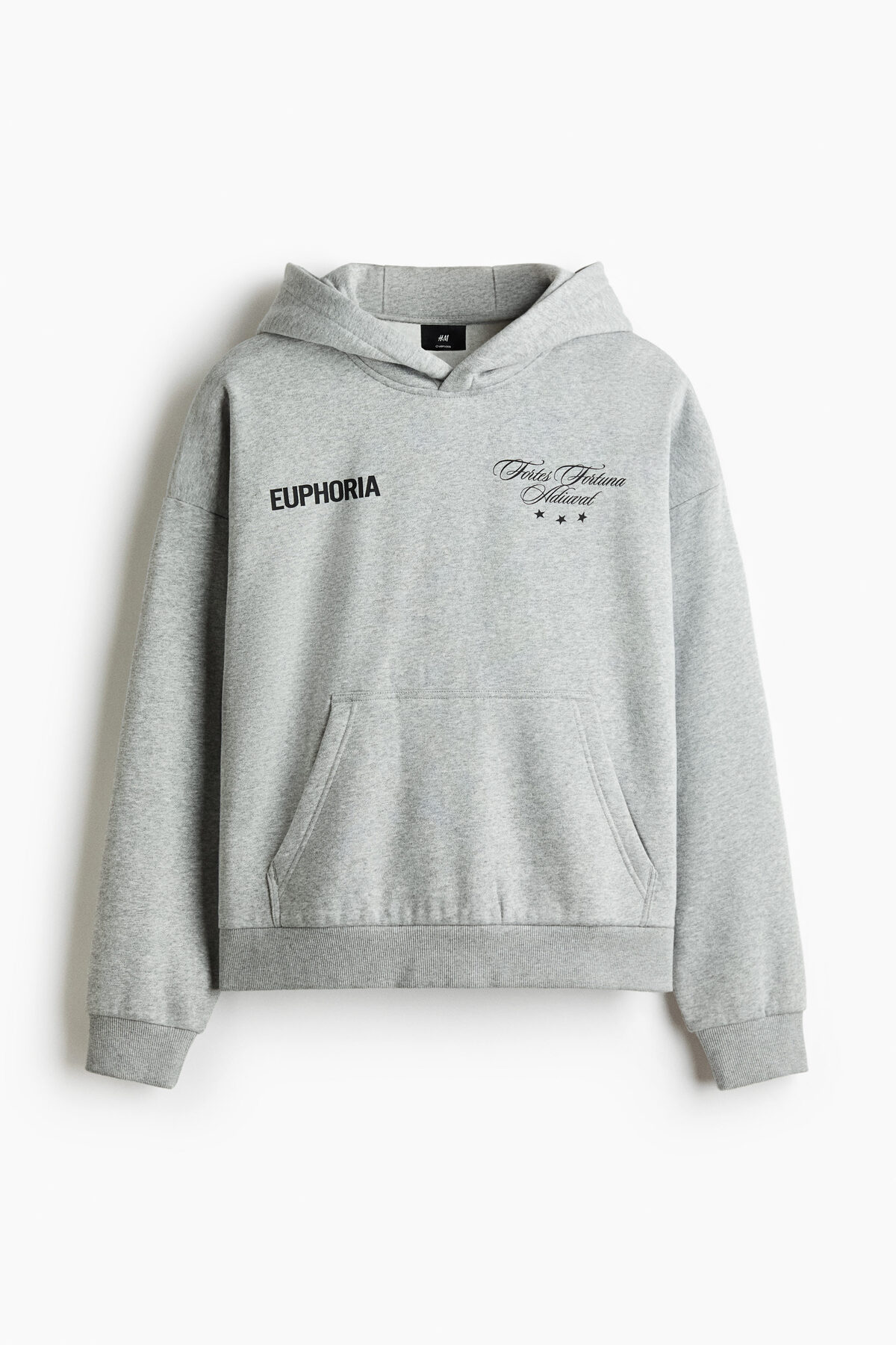 H&M Kapüşonlu Üst Loose Fit görsel 3