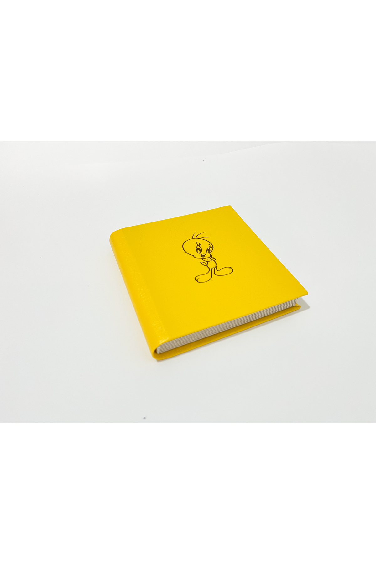 ConceptinEla Cep Albümü , Polo Albüm ,Bebek Albümü fotoğrafı 2 (önizleme)