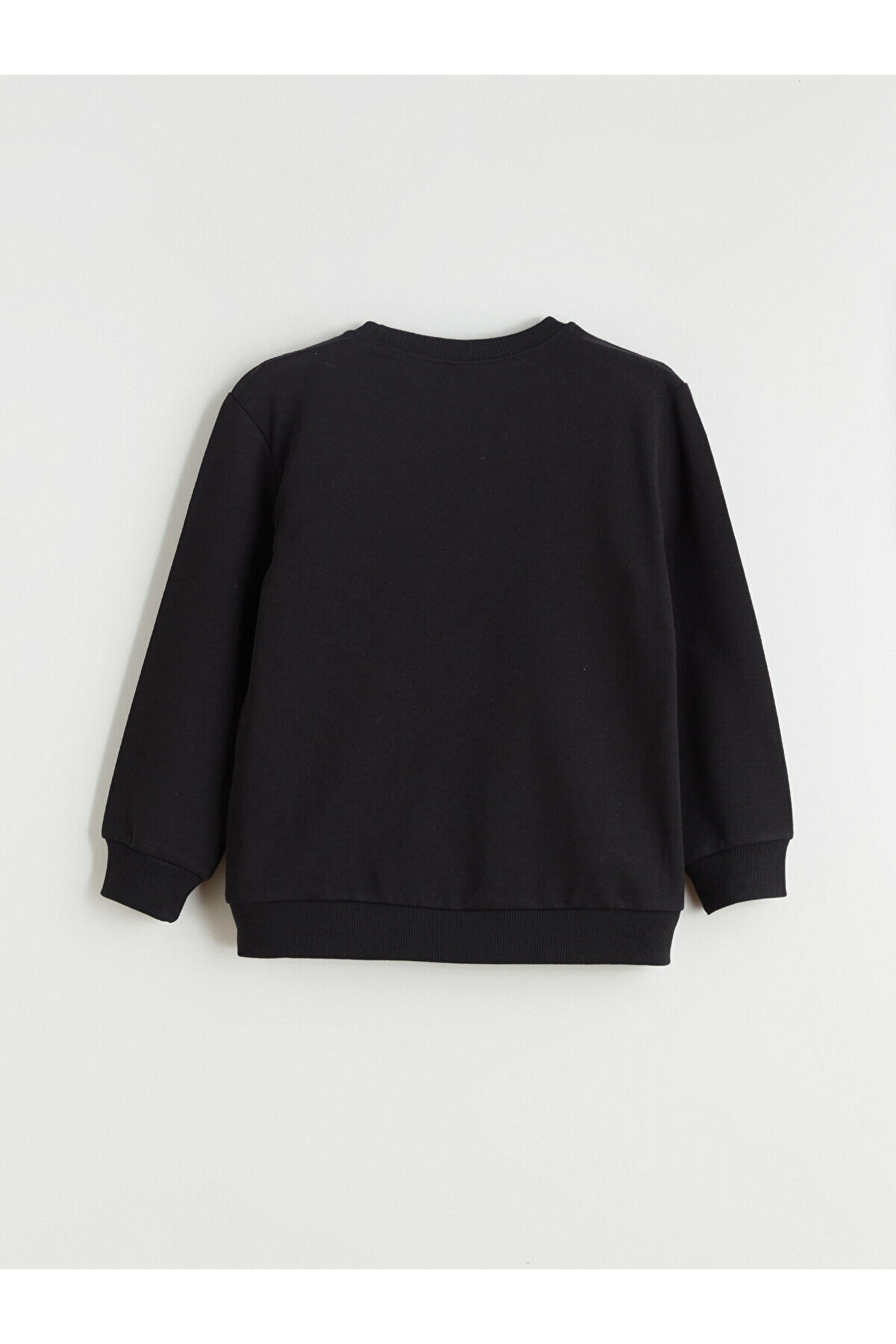 LC Waikiki Meral Collection Bej Bisiklet Yaka Erkek Çocuk Sweatshirt 2'li fotoğrafı 7 (önizleme)