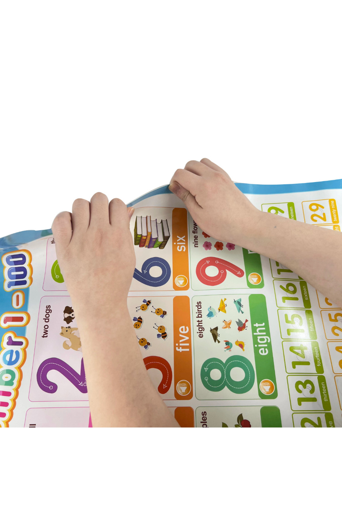 TALOO sesli kitaplar Number 1-100 Ingilizce Konuşan Sesli Poster fotoğrafı 4 (önizleme)