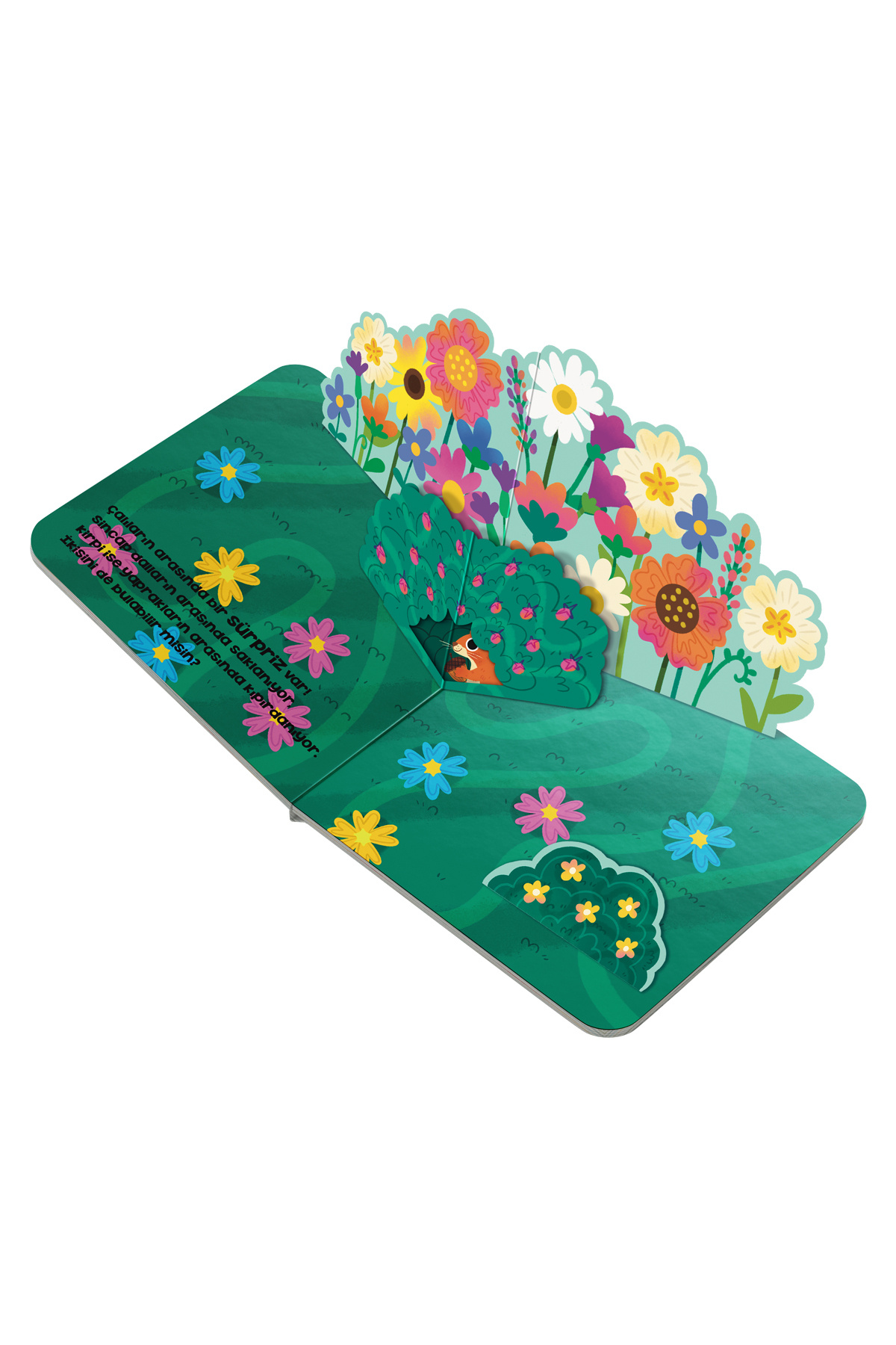 Neobebek Pop-Up Kitap Seti (3 Pop-Up Kitap) fotoğrafı 3 (önizleme)