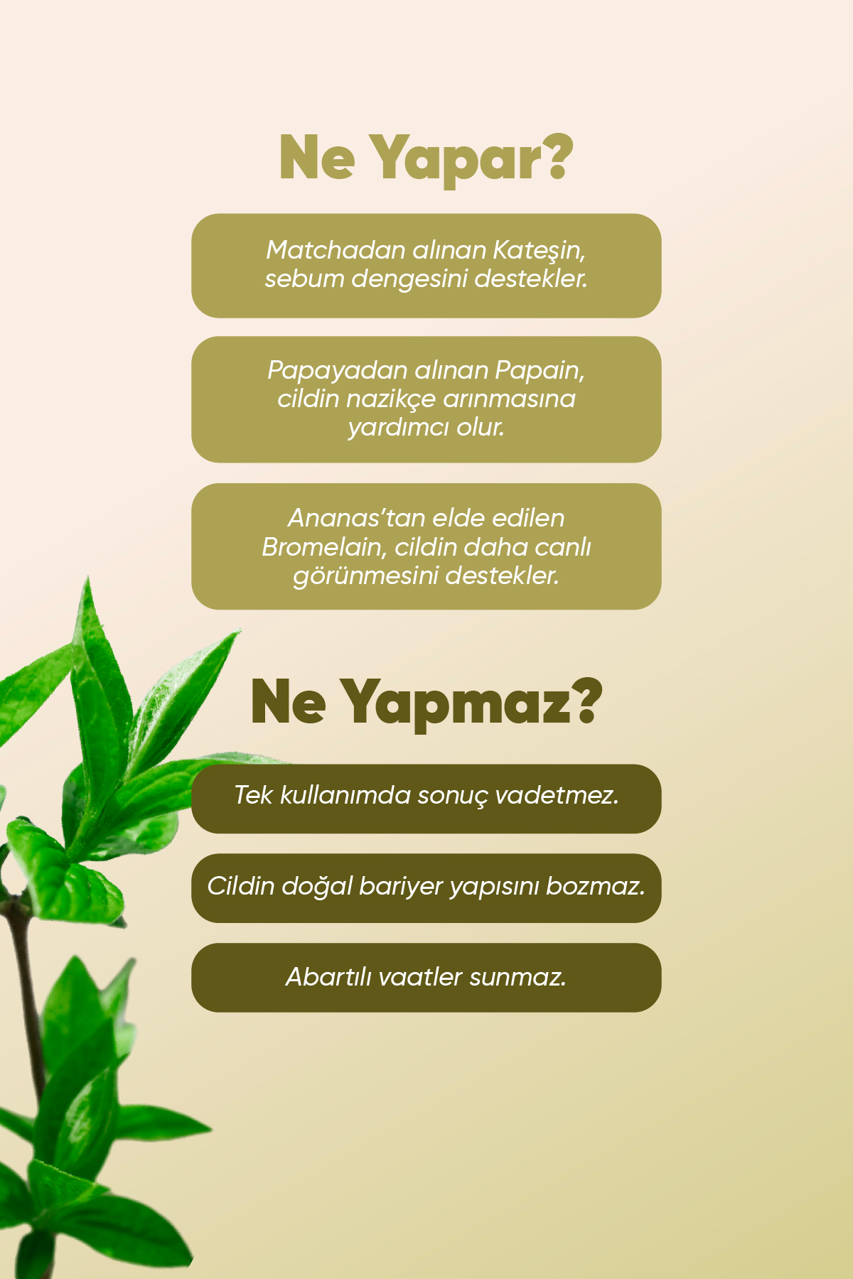 Dermorganik Mevsimsel Denge Cilt Bakım, Arındırıcı,Gözenek Sıkılaştırıcı 3'lü Ritüel — Set1 — تصویر 5 از 6