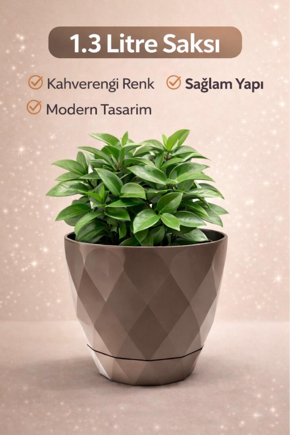 MF Botanik Yakamoz Saksı 1.3 Litre Kahverengi - Fiyatı, Yorumları