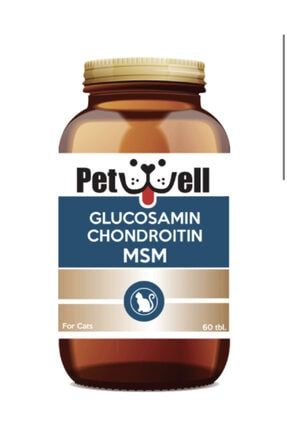 Glukozamin Kondroitin Msm Kedi Vitamini CCA1328