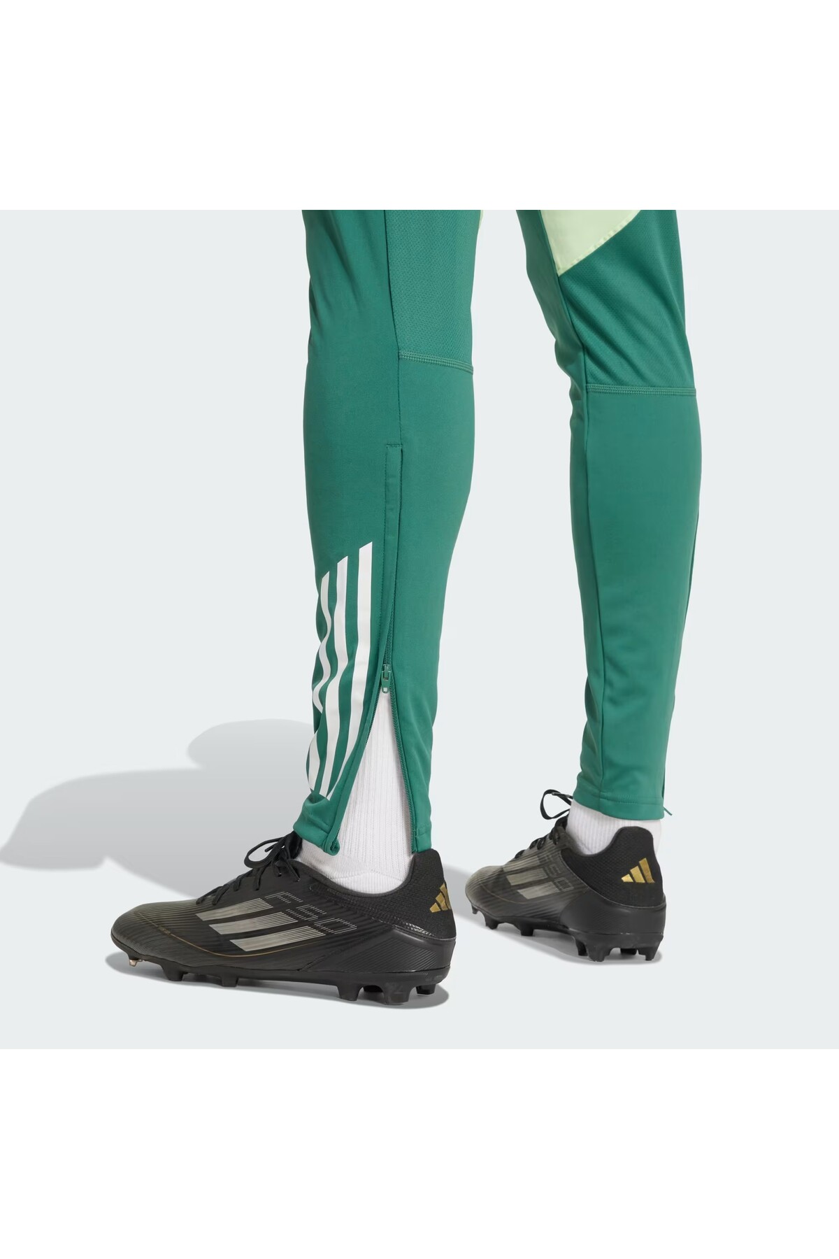 شلوار گرمکن ورزشی مردانه راسته آستین کوتاه | جک ولف اسکین Jack Wolfskin JC7006 - تصویر 6