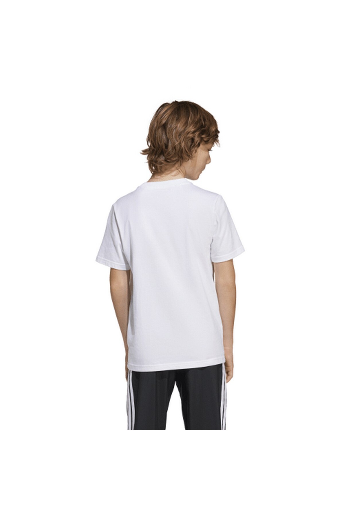 تیشرت مردانه راسته | آدیداس adidas JJ1412 - تصویر 2